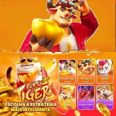 bodog